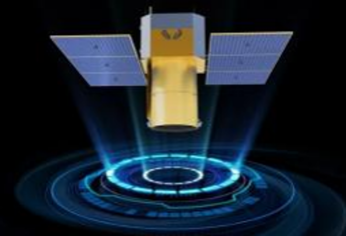 2026.3.12植树节17 2026.3.12植树节17